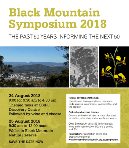 Black Mountain Symposium